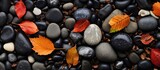 The top down view reveals a picturesque landscape of black pebbles and autumn leaves offering a visually appealing copy space image