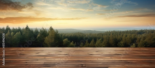 Fototapeta Naklejka Na Ścianę i Meble -  Evening view of a wood floor blending with the forest under a sky full of visual copy space