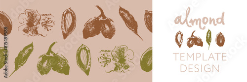 Almond frames for banner background or label template design. Organic almond seamless pattern. Garland almond nuts. Crayon drawings for almonds packaging or marzipan paste tag. Vector floral border.