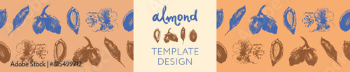 Almond frames for banner background or label template design. Organic almond seamless pattern. Garland almond nuts. Crayon drawings for almonds packaging or marzipan paste tag. Vector floral border.