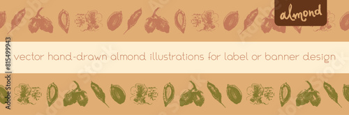 Almond frames for banner background or label template design. Organic almond seamless pattern. Garland almond nuts. Crayon drawings for almonds packaging or marzipan paste tag. Vector floral border.