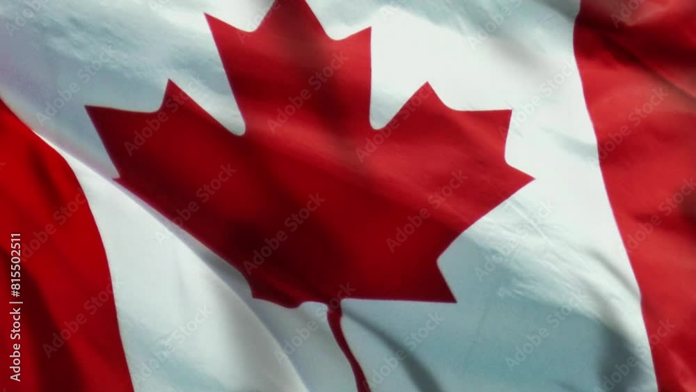 Flag Animation Benner, Canada Flag Animation, Waving Canadian Flag Banner Animation Background