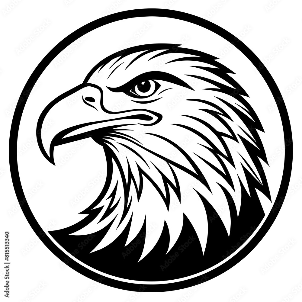 Obraz premium eagle head silhouette