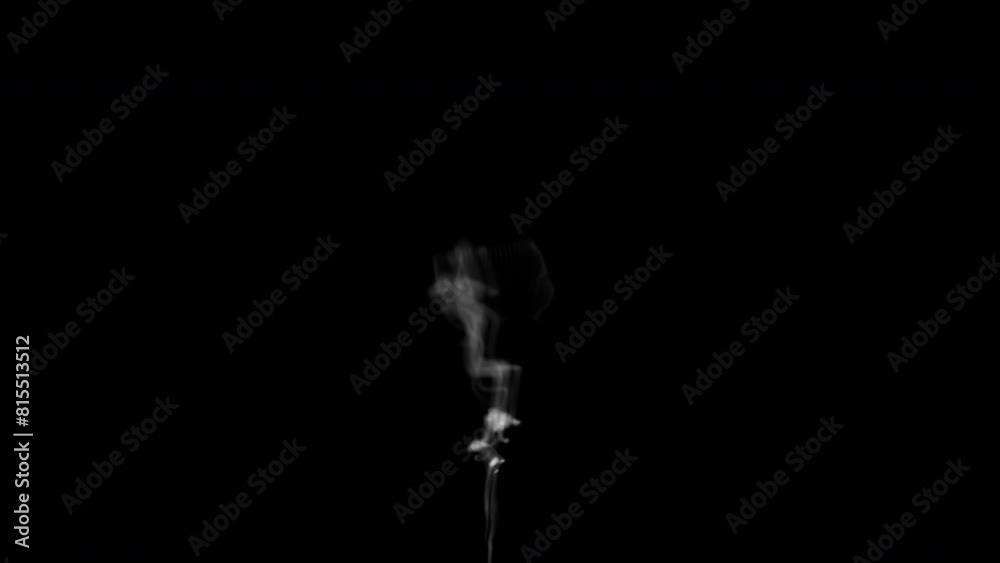 A subtle and ethereal animation of whispy smoke rising and twisting against a stark black background, capturing a mesmerizing and minimalist visual effect A subtle and ethereal animation of whispy smoke rising and twisting against a stark black background, capturing a mesmerizing and minimalist visual effect