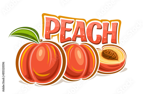 Vector logo for Peach, decorative horizontal poster with outline illustration of ripe peaches composition with green leaf, cartoon design fruity print with raw yellow peach pulp on white background