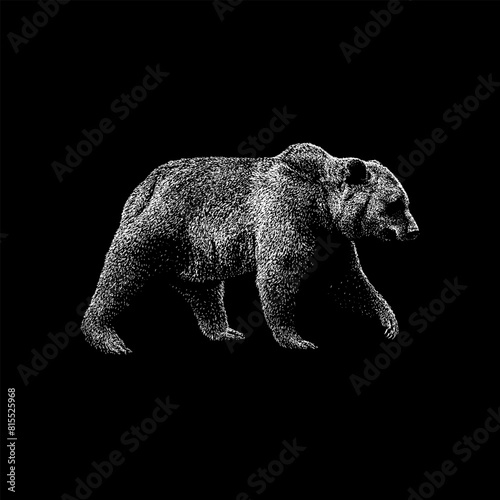 Marsican Brown Bear hand drawing vector isolated on black background.