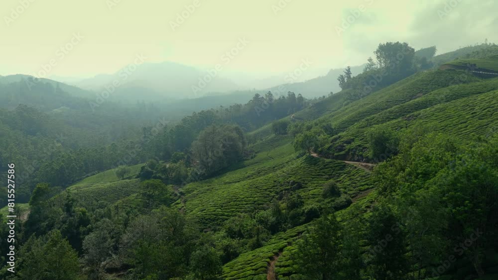 Panoramic beautiful misty tea plantation world class top tea plantations in the hills of Munnar, Kerala, India. Panoramic beautiful misty tea plantation world class top tea plantations in the hills of Munnar, Kerala, India.