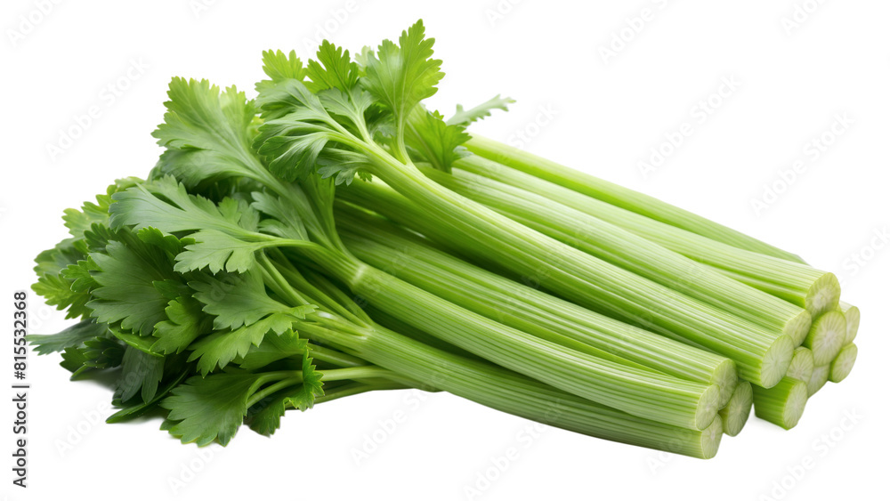 cluster of celery isolated on white background cluster of celery isolated on white background