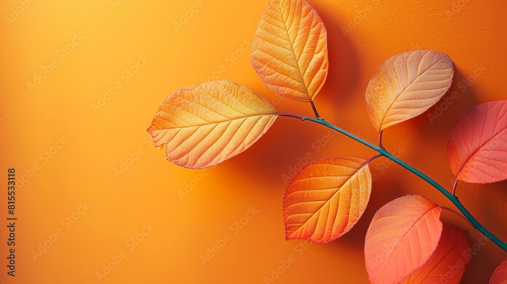 Autumn Season, Autumn Background, Falling Leaves. Autumn Season, Autumn Background, Falling Leaves.