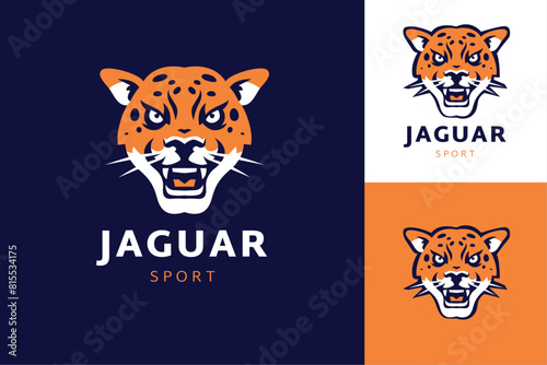 Photography tiger, animal, cat, cartoon, vector, illustration, wild, mammal, wildlife, anima
