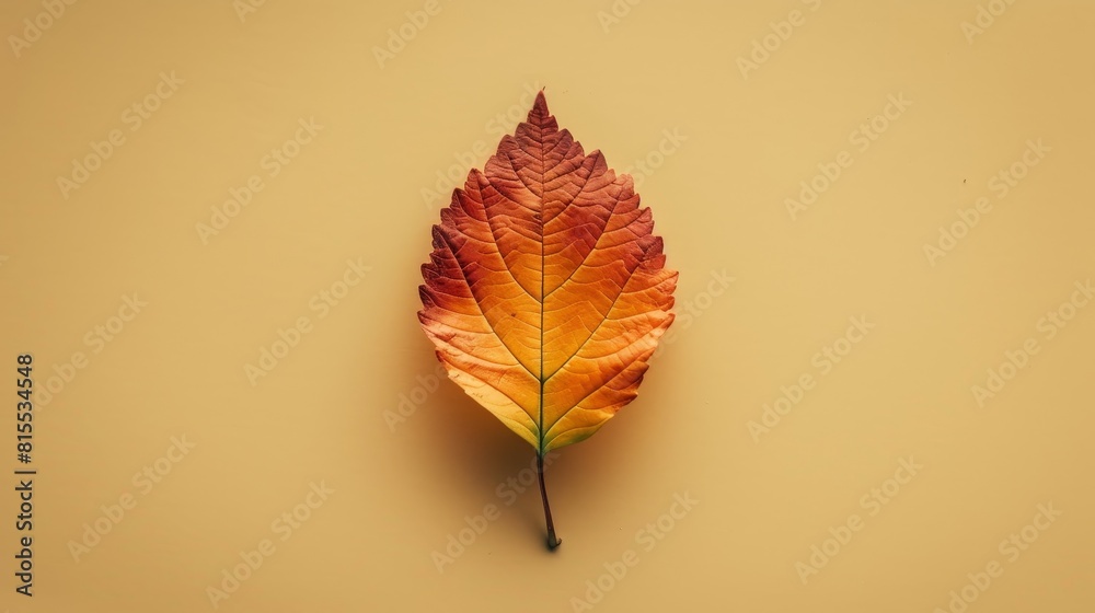 Autumn Season, Autumn Background, Falling Leaves. Autumn Season, Autumn Background, Falling Leaves.