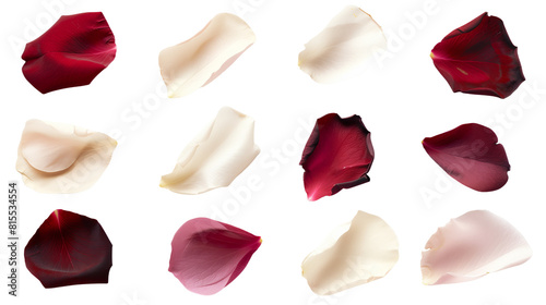 Set of rose petals in classic wedding colors, including white, blush, and deep red, highlighting their velvety texture