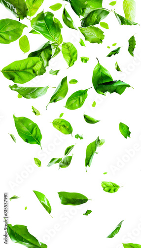 Vividly flying in the air green tea leaves isolated on white background