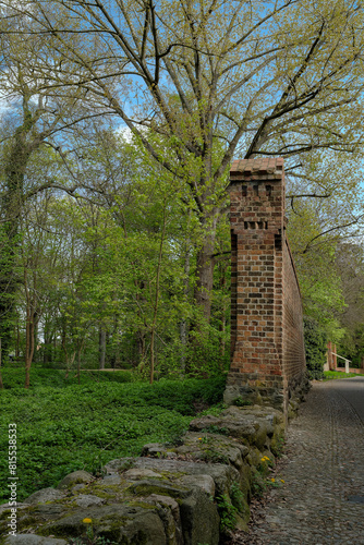 Die Neuruppiner Stadtmauer an der Virchowstraße, dahinter die als Park gestaltete Wallanlage im Frühling