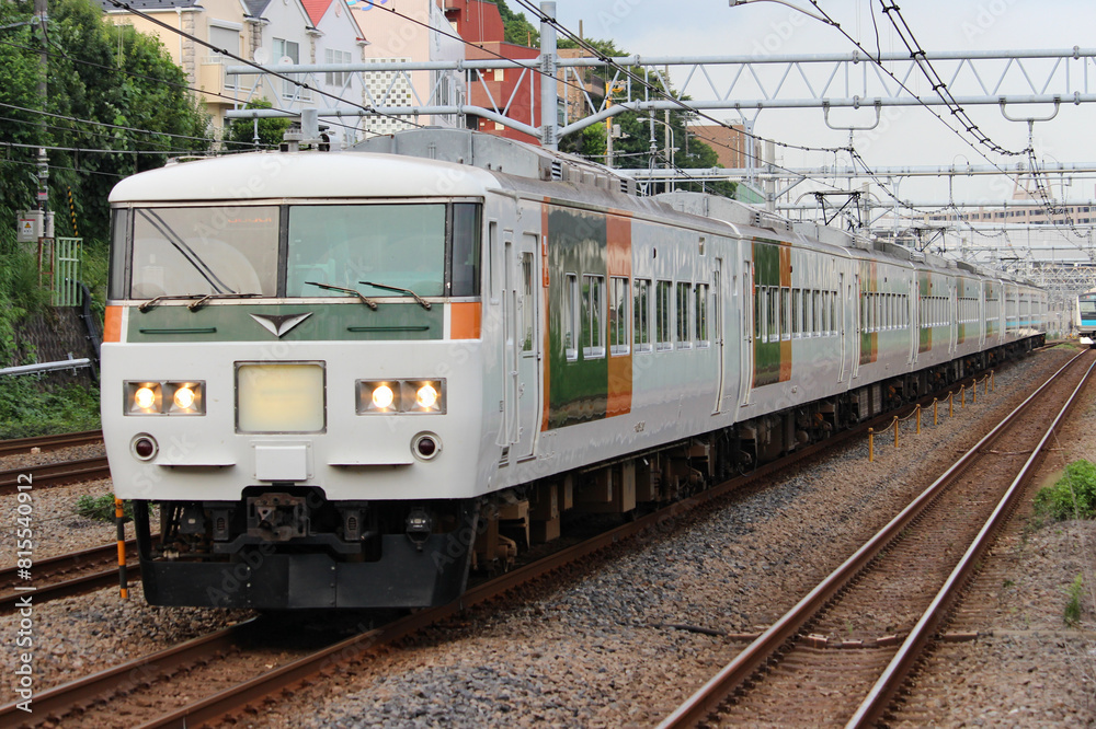 Fototapeta premium 特急電車 185系 踊り子