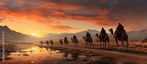 Caravan of camels in the desert at sunset.