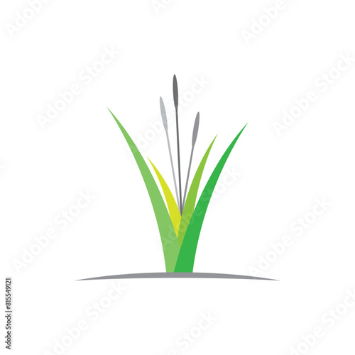Grass logo vector template element and symbol