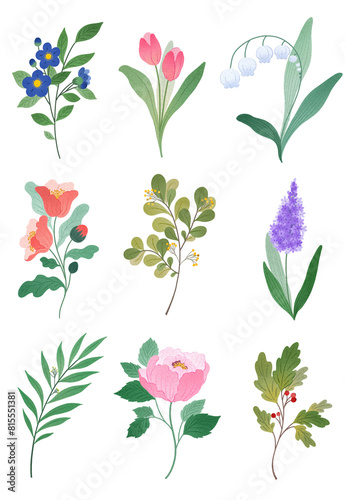 set of flowers