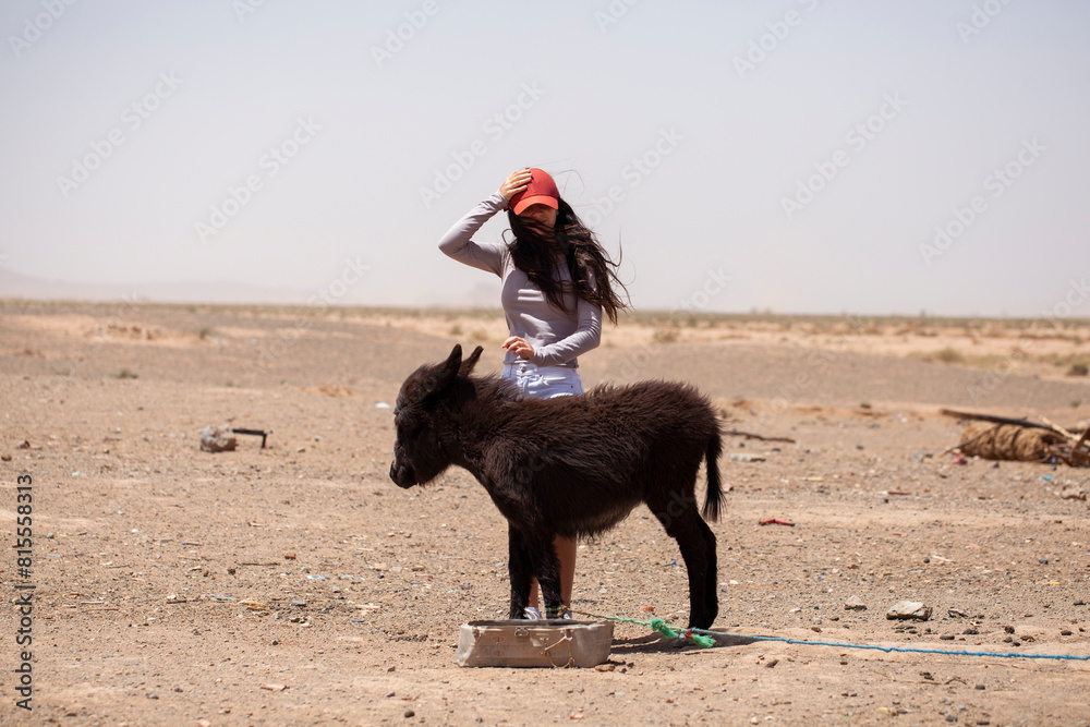 Young girl in the middle of the desert with a little donkey. South Morocco.