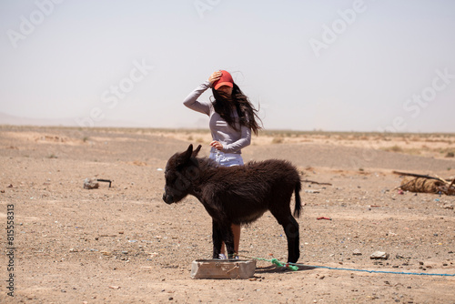 Obraz na płótnie Young girl in the middle of the desert with a little donkey. South Morocco. w salonie