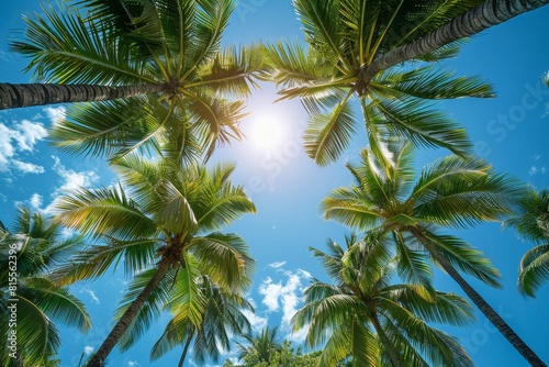 Palm Tree Forest in Tropical Paradise  Lush greenery with clear blue skies