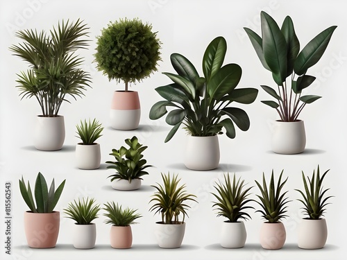 plants in pots With isolated White Background Generative Ai