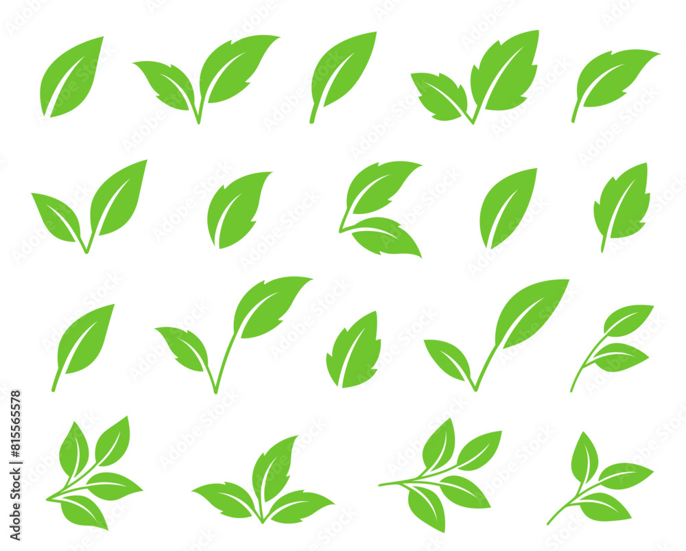 vector green leaves, letter v, tea branches set icon vector green leaves, letter v, tea branches set icon