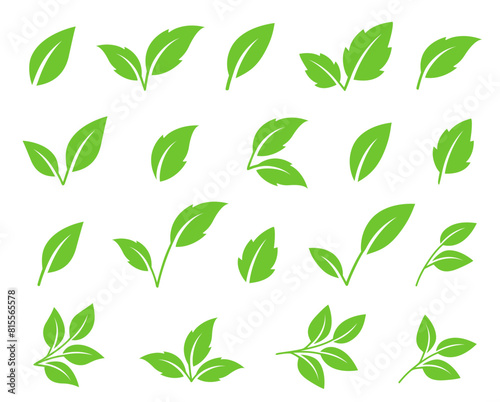 vector green leaves  letter v  tea branches set icon