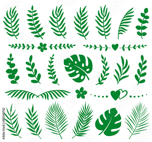 Tropical summer set palm eucalyptus leaves branches