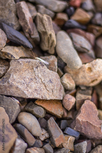 Close up of a pile of pebbles on the beach
