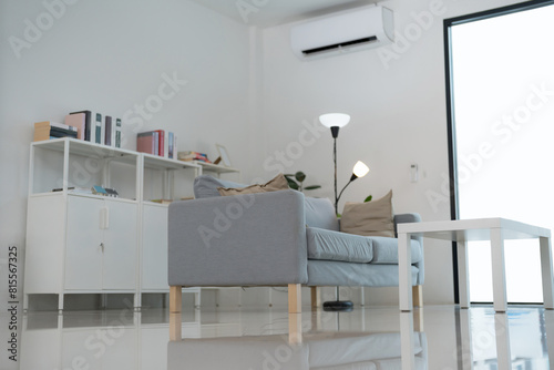 Modern living room interior with comfortable sofa and bookshelf