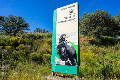 Sierra de Hornachuelos Natural Park, province of Córdoba, Andalusia, Spain photo