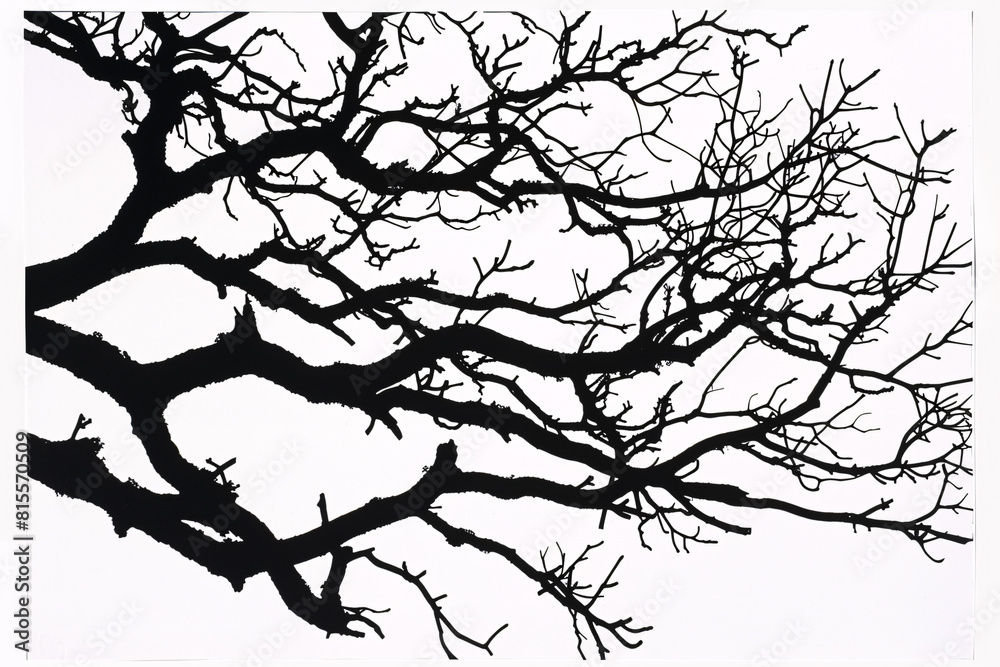 Obraz premium Black silhouette of bare tree branches against a white background