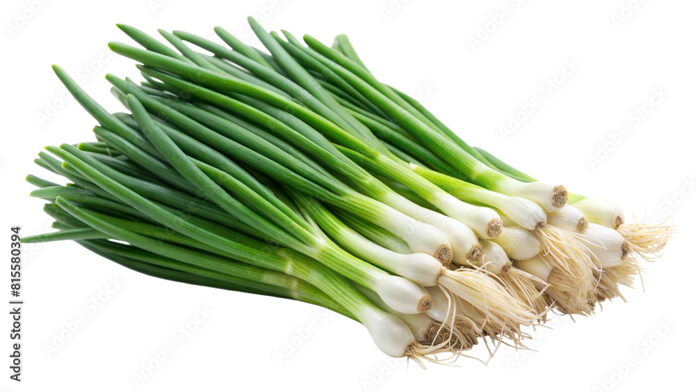 cluster of scallion green onion isolated on white background