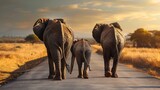 African Bush Elephants  Loxodonta africana family walking on the road in wildlife reserve Greeting from Africa : Generative AI