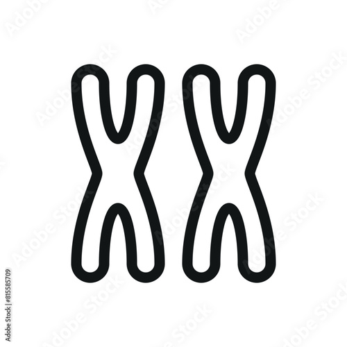 XX chromosomes isolated icon, female chromosome vector symbol with editable stroke