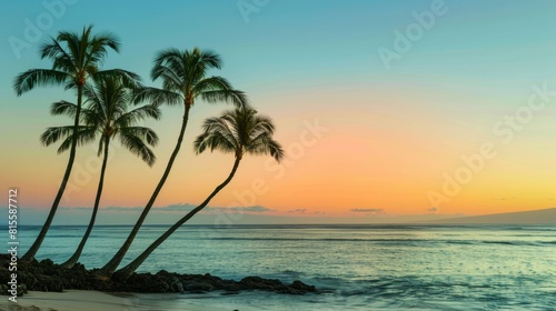 Exotic summer beach with palm trees  sea and sand. Secluded Serenity  Nestled between lush foliage and swaying palm trees  a hidden beach offers a quiet retreat from the outside world.