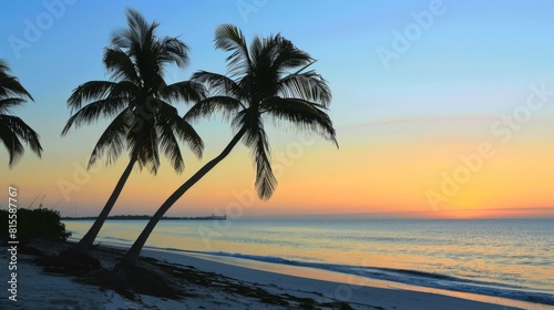 Exotic summer beach with palm trees  sea and sand. Secluded Serenity  Nestled between lush foliage and swaying palm trees  a hidden beach offers a quiet retreat from the outside world.