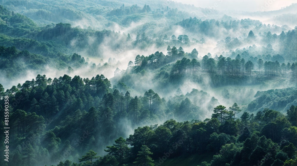 Foggy morning in the mountains. Beautiful landscape in south korea. Foggy morning in the mountains. Beautiful landscape in south korea.