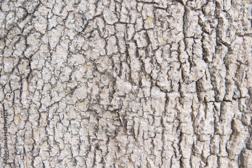 Bark trunk tree texture with cracks natural patterns on background Bark trunk tree texture with cracks natural patterns on background