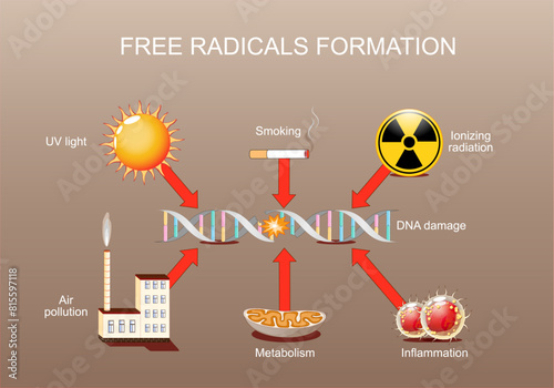 DNA damage. Free radical formation