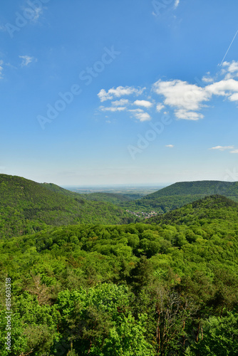 Forest Hills in Pfalz germany blue sky