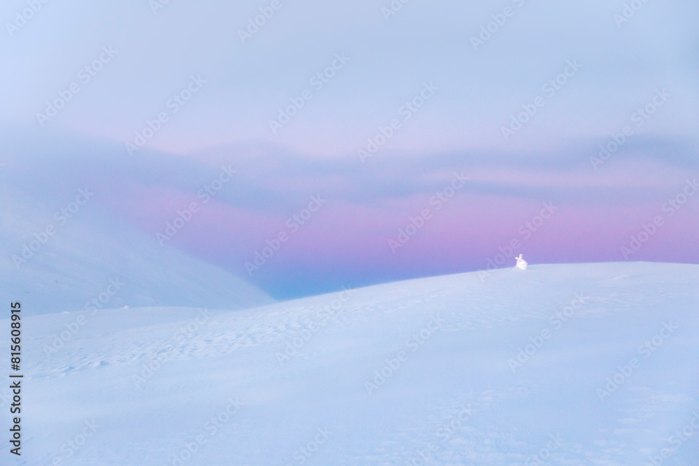 A minimalist fell landscape in the light of the polar night A minimalist fell landscape in the light of the polar night