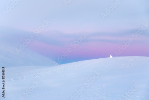 A minimalist fell landscape in the light of the polar night