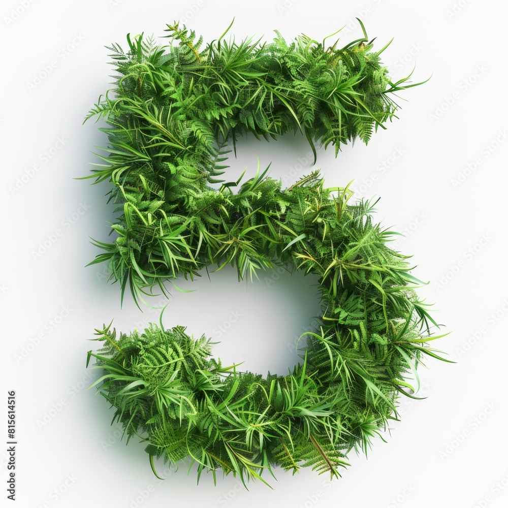 number 5 made from grass, white background number 5 made from grass, white background