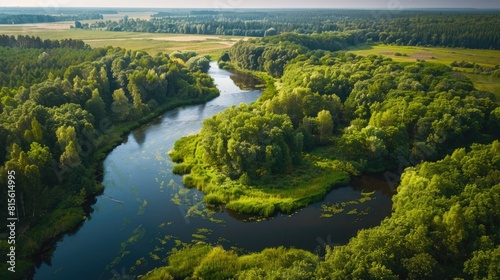 Nature Aerial. Aerial View of Green Forest and River in Tuchola Natural Park  Poland