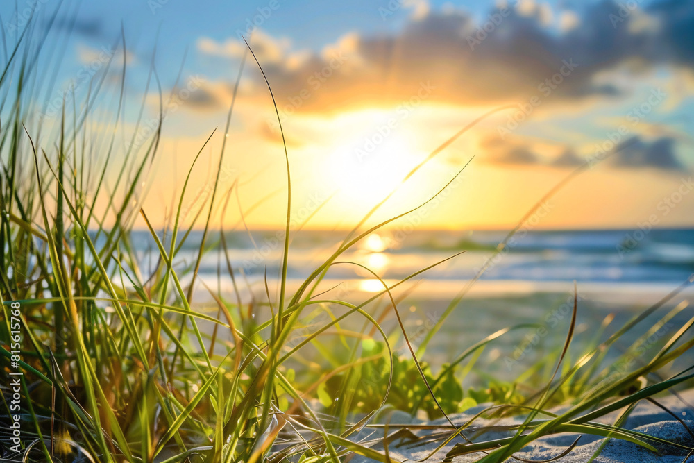 Tall grass on the beach with a sunrise casting warm light over the ocean in the background