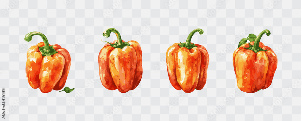Pepper watercolor isolated graphic transparent Pepper watercolor isolated graphic transparent