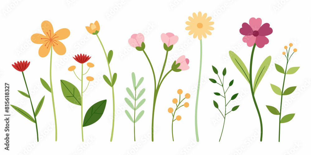 Set Of Botanical Design Elements Including Various Flowers And Leaves, Flowers Vector Illustration Set Of Botanical Design Elements Including Various Flowers And Leaves, Flowers Vector Illustration