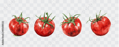 Tomato watercolor isolated graphic transparent